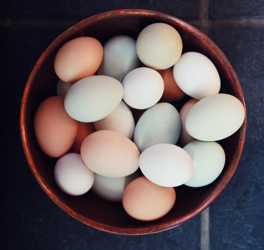 Eggs in Springtime