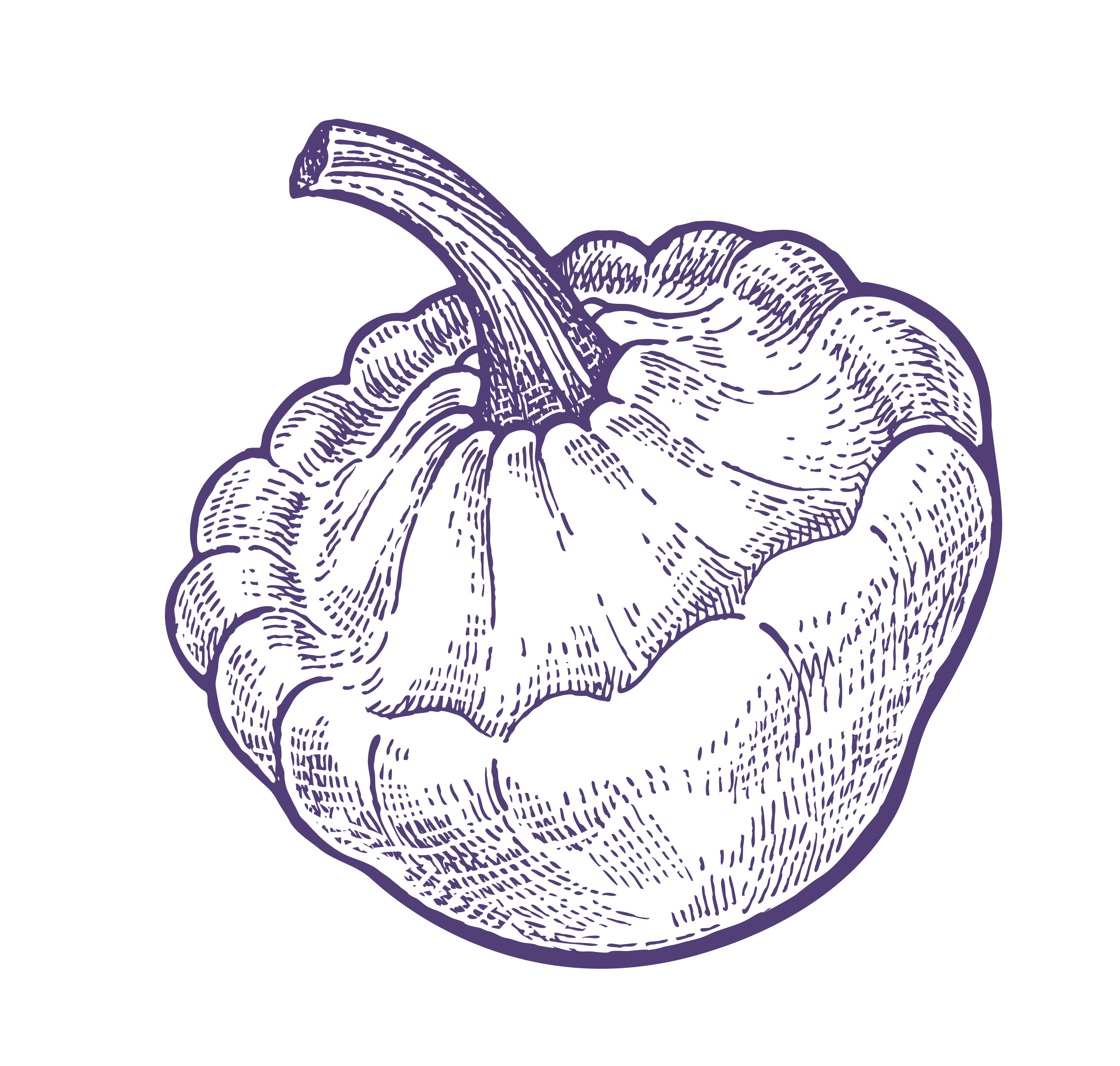 files/PattyPan_Purple.png