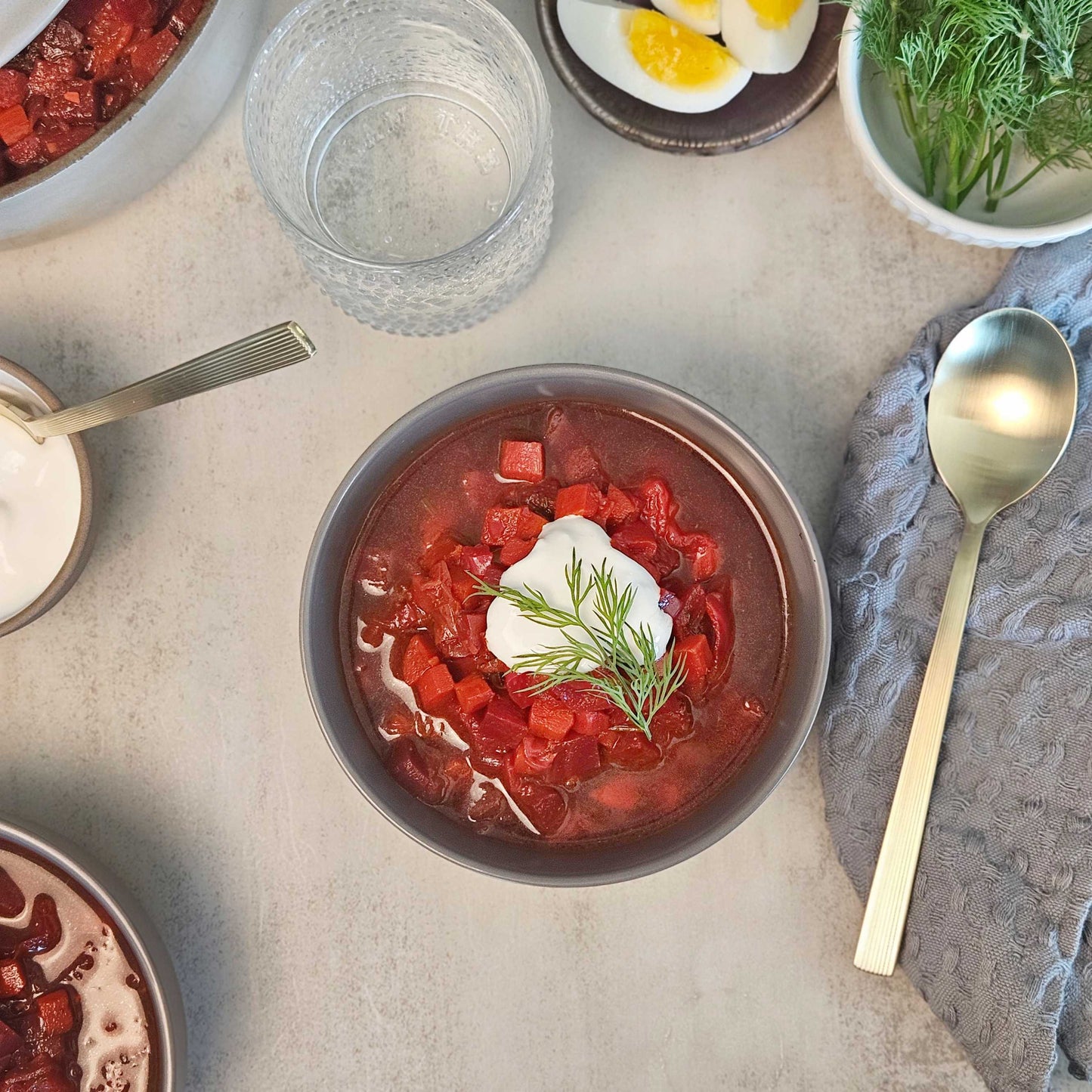 Beet Borscht Soup with Beef Bone Broth