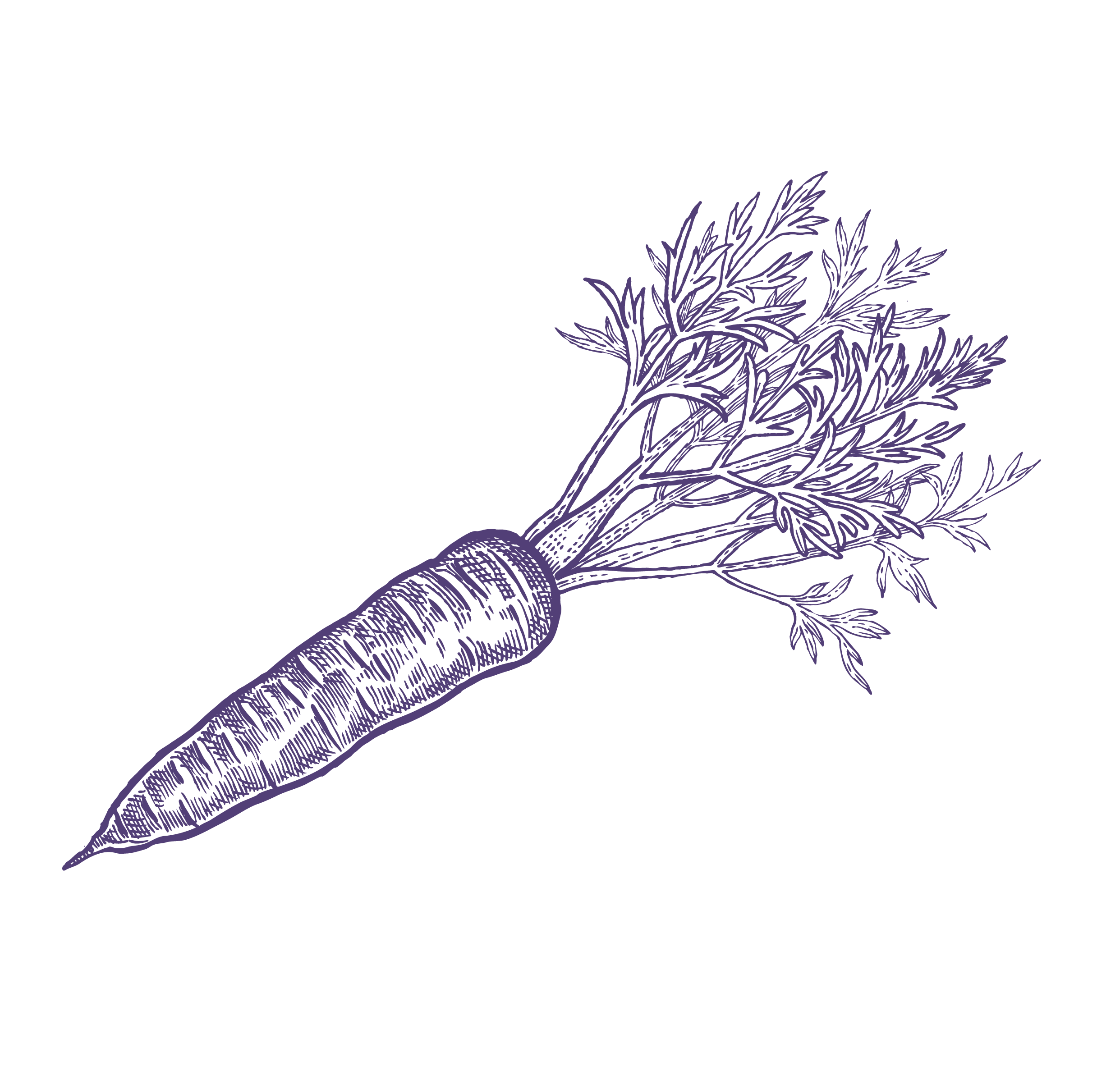 files/Carrot_Purple.png